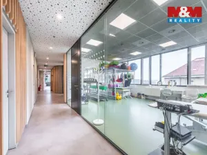 Pronájem obchodního prostoru, Praha - Michle, Jihlavská, 30 m2