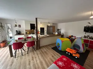 Prodej rodinného domu, Ostopovice, U Kaple, 381 m2