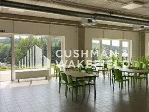 Prodej skladu, Nová Paka, 9000 m2