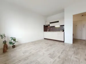 Pronájem bytu 1+kk, Ústí nad Orlicí, Heranova, 20 m2