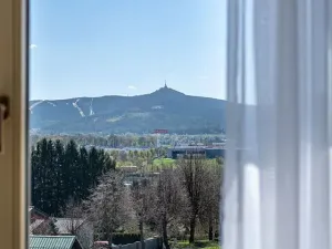 Pronájem bytu 1+kk, Liberec, Polní, 35 m2