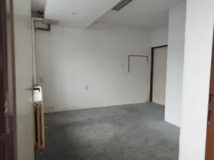 Pronájem skladu, Brno, Pod sídlištěm, 70 m2