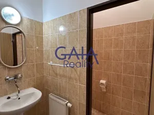 Pronájem obchodního prostoru, Louka, 597 m2