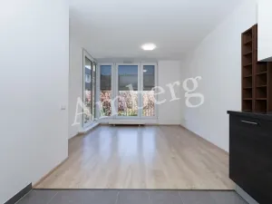 Prodej bytu 2+kk, Praha - Žižkov, Na Vackově, 53 m2