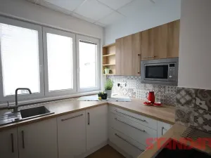 Pronájem bytu 1+1, Plzeň, Solní, 50 m2