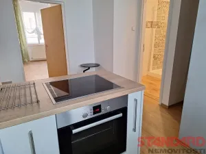 Pronájem bytu 1+1, Plzeň, Solní, 50 m2
