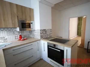 Pronájem bytu 1+1, Plzeň, Solní, 50 m2