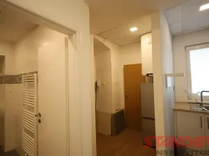 Pronájem bytu 1+1, Plzeň, Solní, 50 m2
