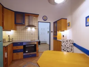 Pronájem bytu 1+1, Praha - Vinohrady, Polská, 45 m2