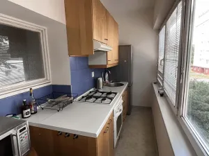 Pronájem bytu 3+kk, Brno, Tábor, 55 m2