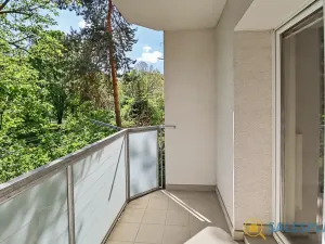 Prodej bytu 2+1, Brno, Havlenova, 57 m2
