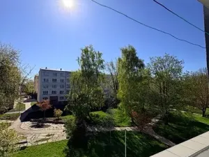 Prodej bytu 3+1, Cheb, 17. listopadu, 65 m2