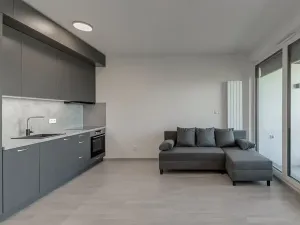 Pronájem bytu 1+kk, Praha - Žižkov, Olgy Havlové, 35 m2