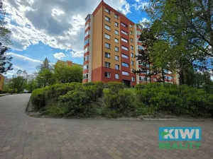 Pronájem bytu 1+1, Orlová, Masarykova třída, 41 m2