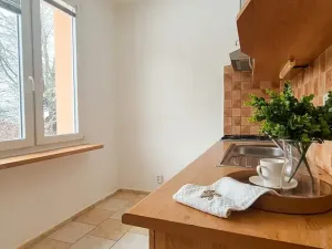 Prodej bytu 1+1, Turnov, Přepeřská, 35 m2