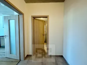 Pronájem bytu 1+kk, Brno, 38 m2