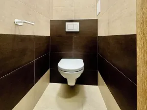 Pronájem bytu 2+kk, Plzeň, Klatovská třída, 50 m2