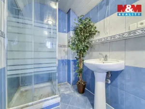 Prodej rodinného domu, Sokolov - Vítkov, Stará Ovčárna, 340 m2