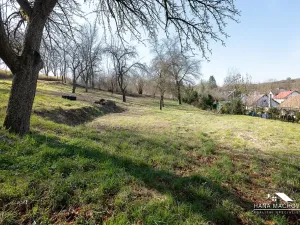Prodej pozemku pro bydlení, Kopidlno, Na Vinici, 8371 m2