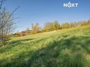 Prodej pozemku pro bydlení, Velké Losiny, 1856 m2