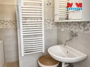 Prodej rodinného domu, Chožov - Mnichovský Týnec, 130 m2
