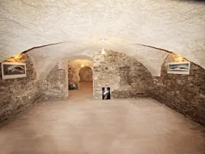 Pronájem obchodního prostoru, České Budějovice - České Budějovice 1, Dr. Stejskala, 73 m2