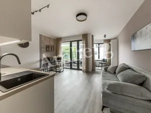 Pronájem bytu 1+kk, Praha - Karlín, U Sluncové, 33 m2
