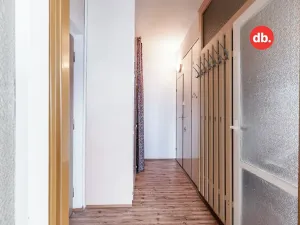 Pronájem bytu 2+1, Nejdek, Okružní, 48 m2