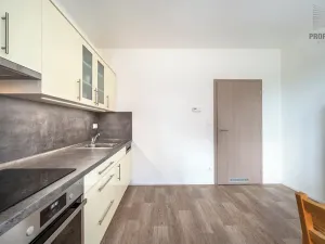 Prodej bytu 1+1, Brno, Turgeněvova, 49 m2