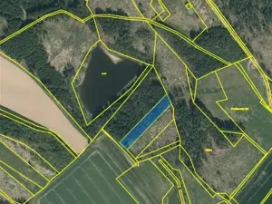 Prodej lesa, Dívčí Kopy, 3000 m2
