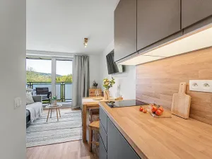 Prodej bytu 1+kk, Janov nad Nisou, 27 m2