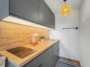 Prodej bytu 1+kk, Janov nad Nisou, 27 m2