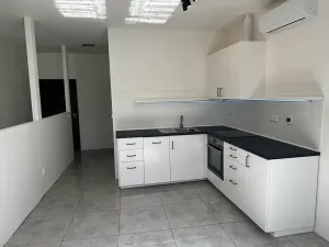 Pronájem bytu 2+kk, Těšany, 49 m2