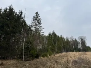 Prodej lesa, Mrákov, 34704 m2