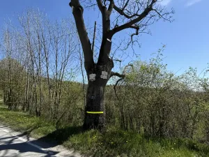 Prodej rodinného domu, Město Albrechtice, Osoblažská, 280 m2