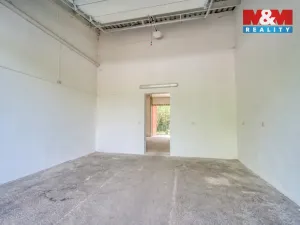 Prodej komerčního pozemku, Mariánské Lázně - Úšovice, 4160 m2