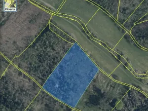 Prodej lesa, Kropáčova Vrutice - Sušno, 15167 m2