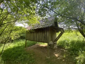 Prodej lesa, Šarovy, 11619 m2