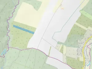 Prodej lesa, Šarovy, 11619 m2