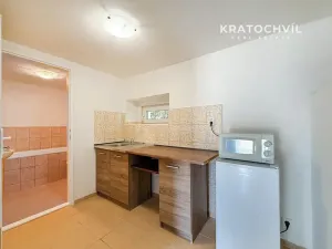 Pronájem bytu 1+kk, Kladno, Vrapická, 38 m2