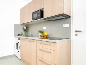 Pronájem bytu 1+kk, Brno, Minská, 21 m2