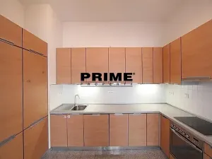 Pronájem bytu 4+kk, Praha - Vinohrady, Na Švihance, 150 m2