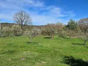 Prodej rodinného domu, Petrovice, 200 m2