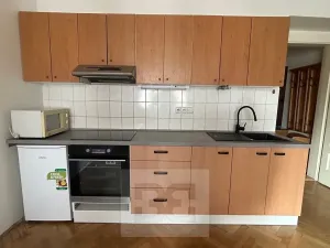 Pronájem bytu 1+kk, Praha - Nusle, U křížku, 28 m2