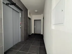 Pronájem bytu 1+kk, Dobřany, 38 m2