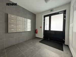 Pronájem bytu 2+kk, Dobřany, 52 m2
