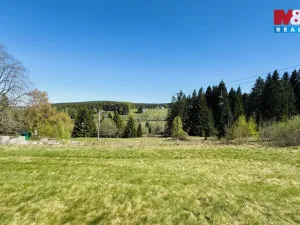 Prodej louky, Stachy, 4150 m2