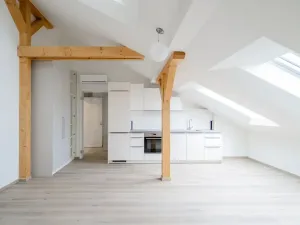 Pronájem bytu 2+kk, Praha - Nové Město, Václavské náměstí, 63 m2