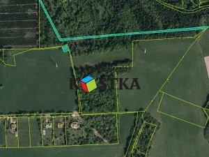 Prodej pole, Těrlicko, Těšínská, 4469 m2