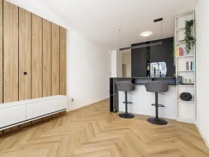Pronájem bytu 3+kk, Ostrava, Čkalovova, 60 m2